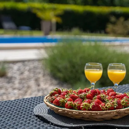 Villa Bozac In Cukrici - Haus Fuer 6 Personen *